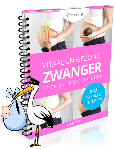 vitaal en gezond zwanger ebook