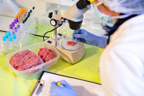Verschil testen tussen gewoon vlees en biologisch vlees